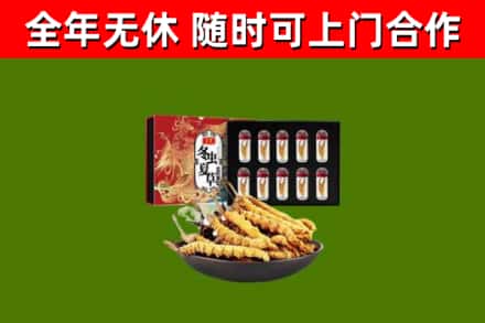 岑溪市回收冬虫夏草价格