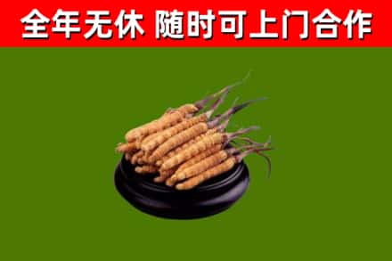 岑溪市烟酒回收冬虫夏草.jpg