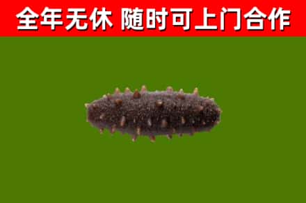 岑溪市烟酒回收干海参.jpg